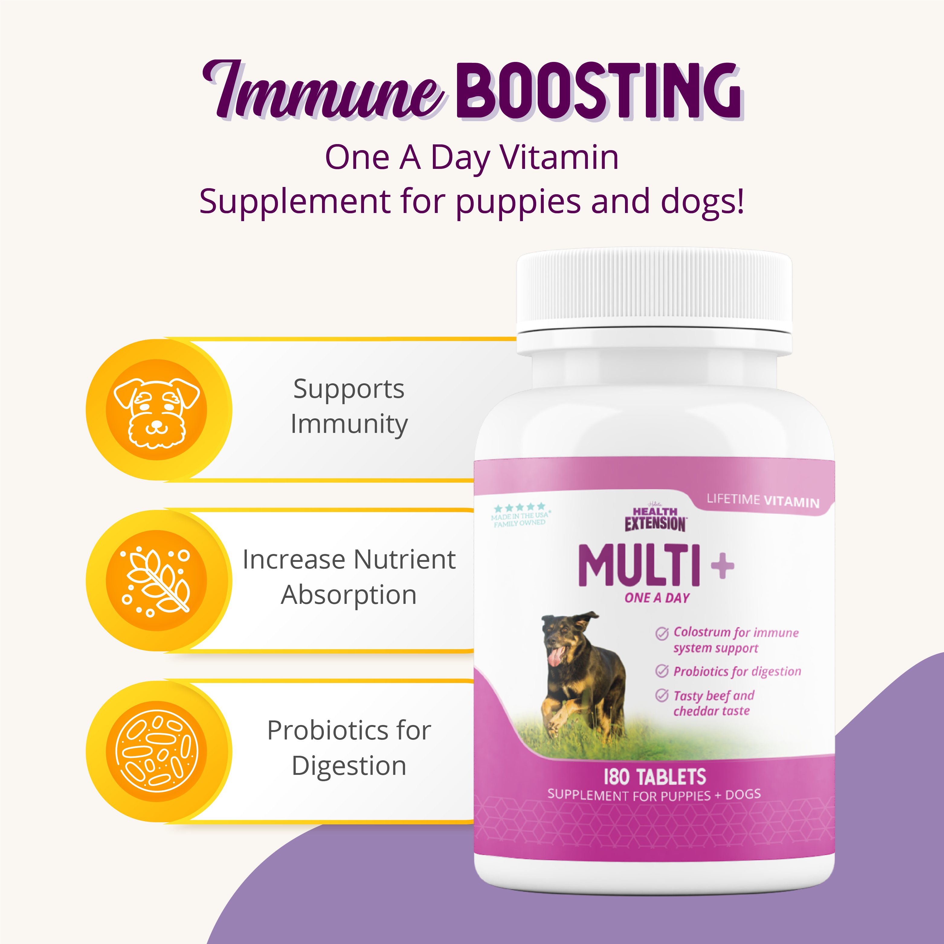 Multi + Lifetime Vitamins